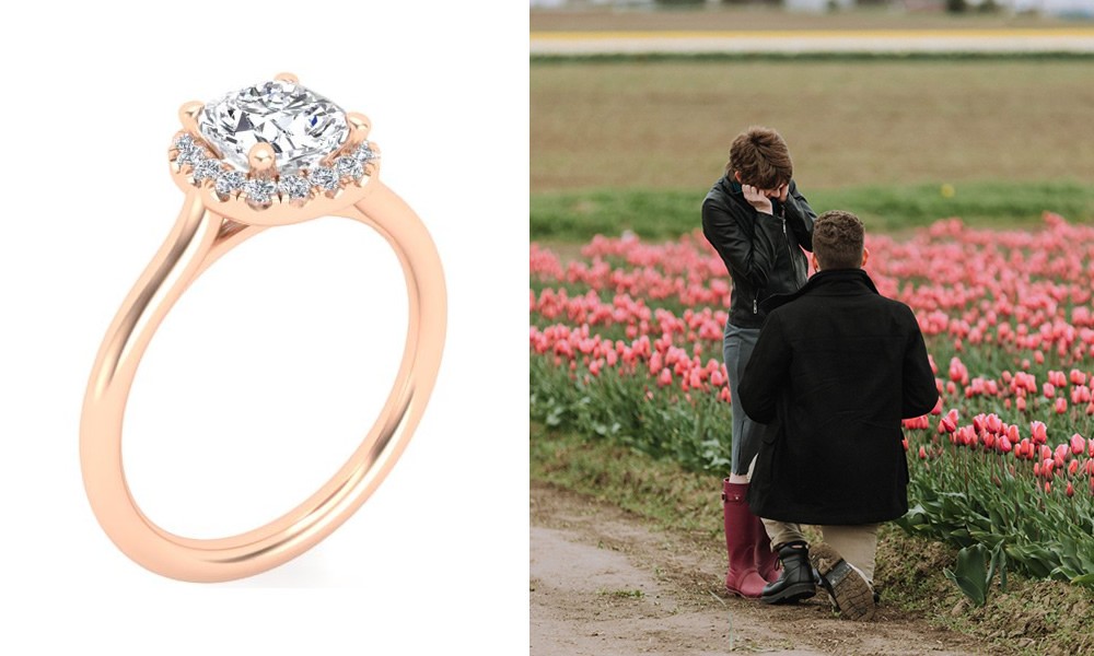 Lovely in Rose Gold and Tulip Fields: Josh & Alexandra - Image