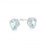 14k White Gold Aquamarine Stud Earrings - Front View -  102632 - Thumbnail