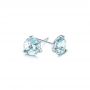  Platinum Platinum Aquamarine Stud Martini Earrings - Front View -  106401 - Thumbnail