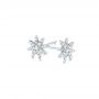  Platinum Diamond Earrings