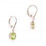 14k Rose Gold 14k Rose Gold Peridot Leverback Earrings - Front View -  102544 - Thumbnail