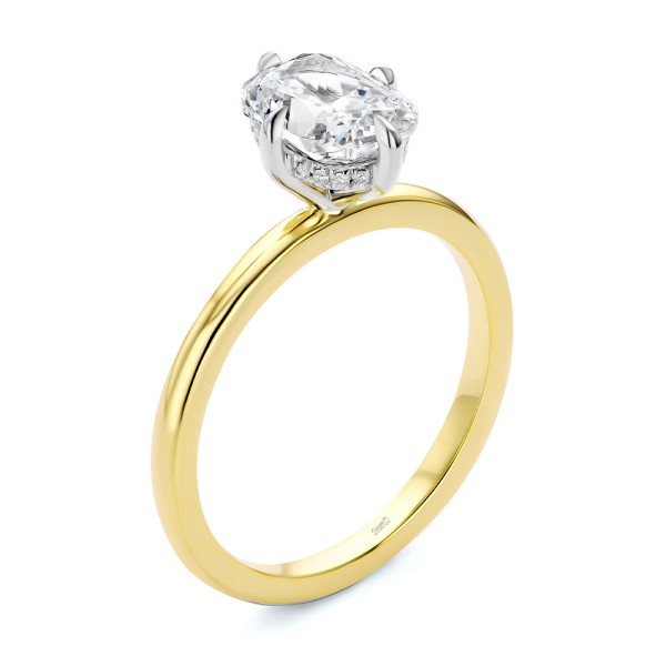 Compass Set Elongated Cushion Cut Diamond Engagement ring - Image