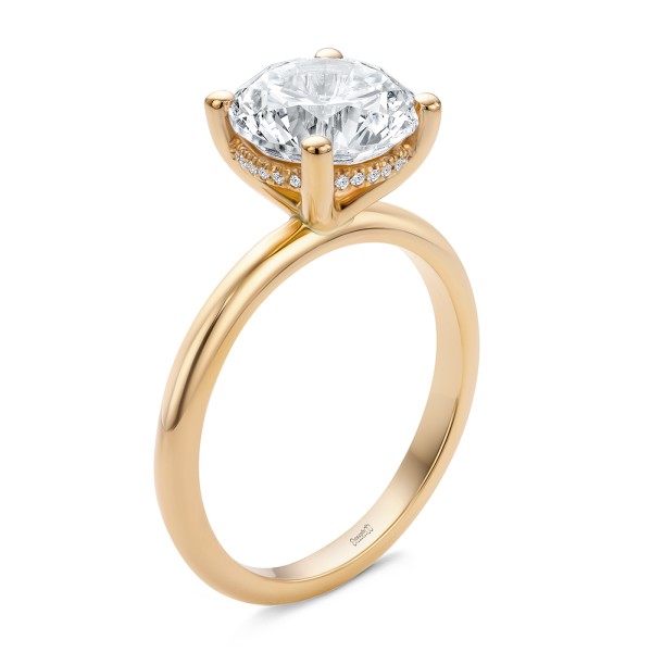 Hidden Halo Round Diamond Engagement Ring - Image