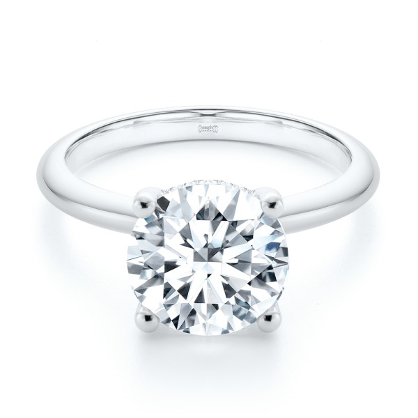 Platinum Platinum Hidden Halo Round Diamond Engagement Ring - Flat View - 107732