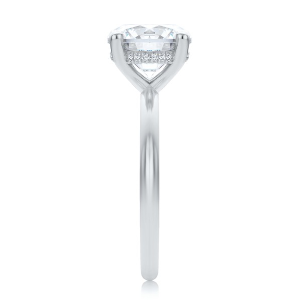 Platinum Platinum Hidden Halo Round Diamond Engagement Ring - Side View - 107732